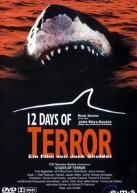 12 дней страха (2004)