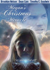 Рождественское чудо для Меган (2018)