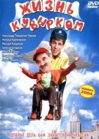 Жизнь кувырком (2003)