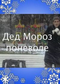 Дед Мороз поневоле (2007)