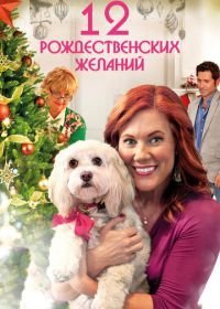 12 Рождественских желаний (2011)