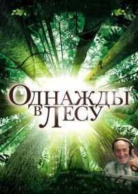 Однажды в лесу (2013)