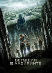 Бегущий в лабиринте (2014)