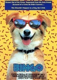 Бинго (1991)
