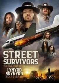 Выжившие: Подлинная история крушения самолёта группы Lynyrd Skynyrd (2020)