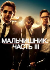 Мальчишник: Часть III (2013)