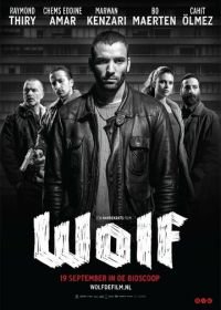 Волк (2013)
