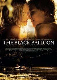 Черный шар (2008)