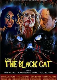Чёрный кот (2017)