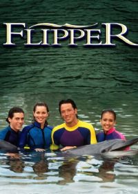 Флиппер (1995-2000)