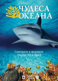 Чудеса океана 3D (2003)