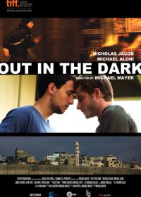 Разглядеть в темноте (2012)
