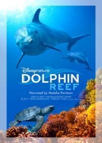 Дельфиний риф (2018)