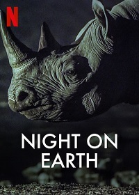 Ночь на Земле (2020)