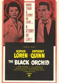 Черная орхидея (1958)