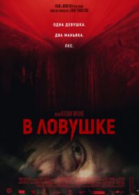 В ловушке (2020)