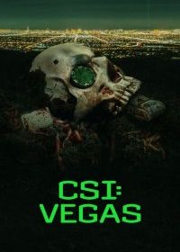 CSI: Вегас (2021-2023)