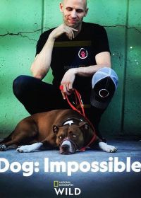 Собака: Невозможное возможно / Плохих собак не бывает (2019)