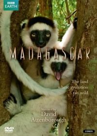 BBC: Мадагаскар (2011)