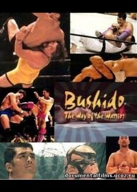 Бушидо – Путь воина / Бусидо - путь воина (1994-1996)