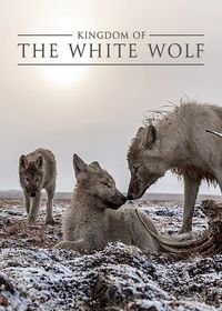 Королевство белого волка (2019)