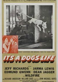 Жизнь собачья (1955)