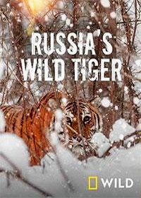 Дикие тигры России (2022)