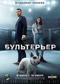 Бультерьер (2022)