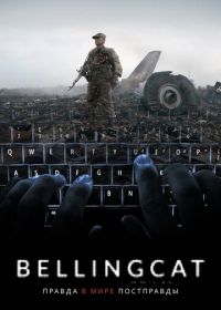 Bellingcat: Правда в мире постправды (2018)