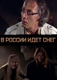 В России идет снег (2013)