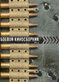 Боевой киносборник 13 (1943)