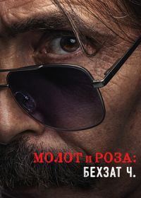 Молот и роза: Бехзат Ч. (2023)