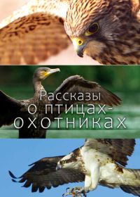Рассказы о птицах-охотниках (2011)