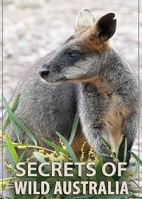 Тайны дикой природы Австралии (2016)