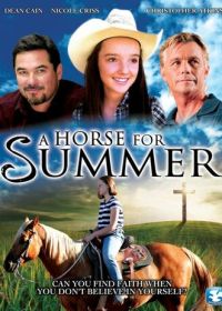 Лошадь на лето (2015)