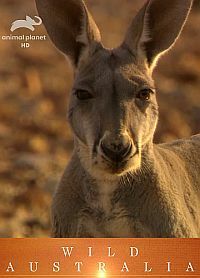 Animal Planet: Дикая Австралия (2011)