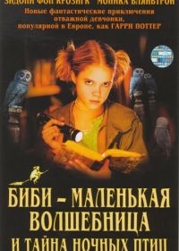 Биби - маленькая волшебница и тайна ночных птиц (2004)