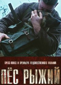 Пёс рыжий (2016)