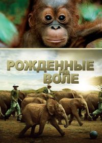 Рожденные на воле (2011)