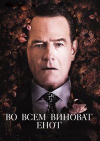 Во всем виноват енот (2016)