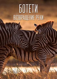 Ботети - возвращение реки (2011)