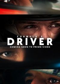 Формула Е: Пилот (2025)