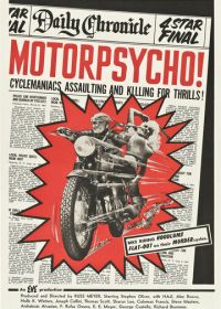 Безумные мотоциклисты (1965)