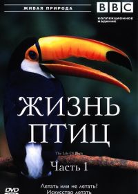 BBC: Жизнь птиц (1998)