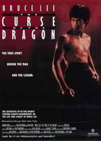Проклятье дракона (1993)