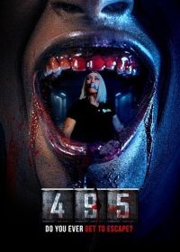 495 (2025)