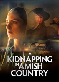 Похищение в общине амишей (2024)