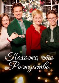 Похоже, это Рождество (2016)