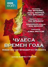 Чудеса времен года (2016)