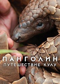 Панголин: Путешествие Кулу (2025)